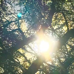 Meet your Posher, Lily